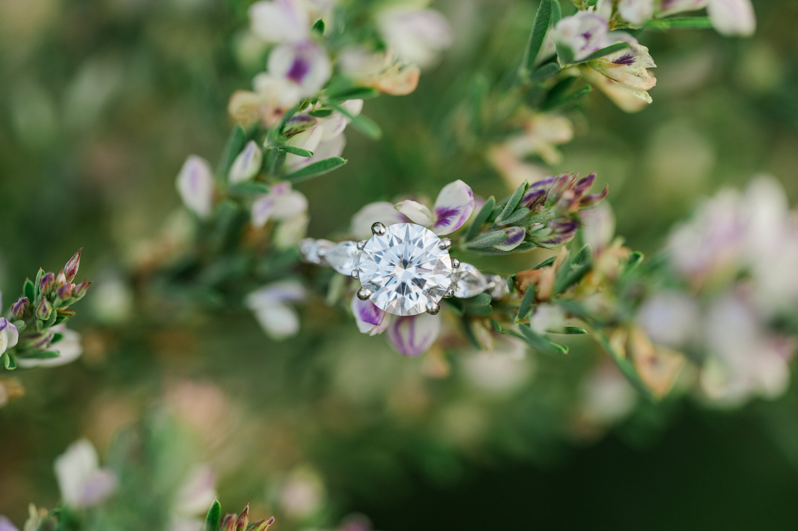 engagement ring macro