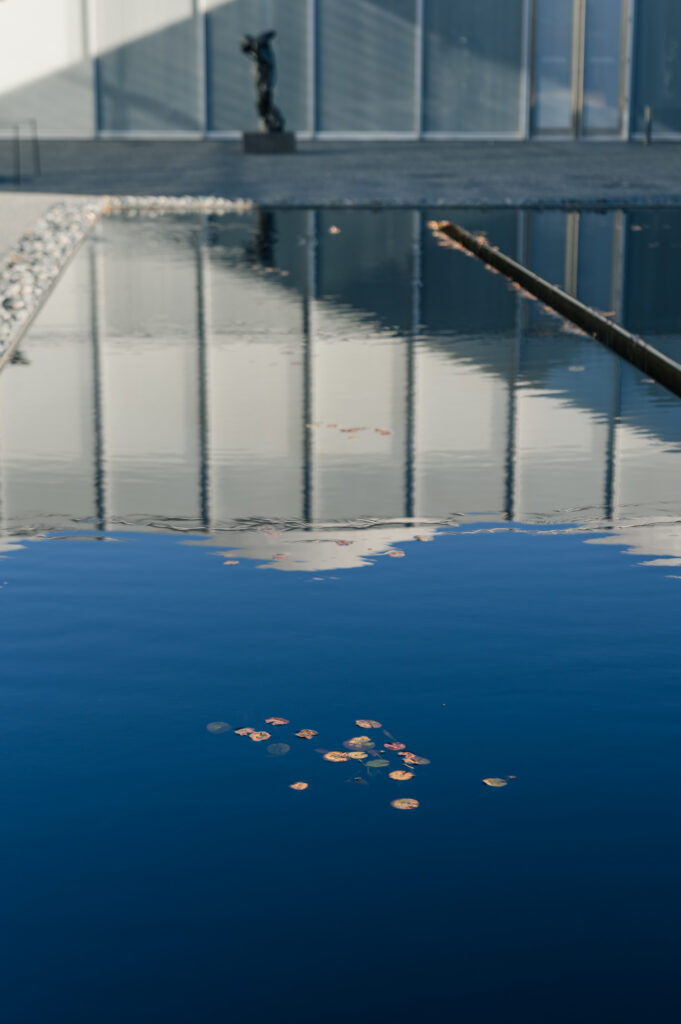 raleigh elopement north carolina museum of art