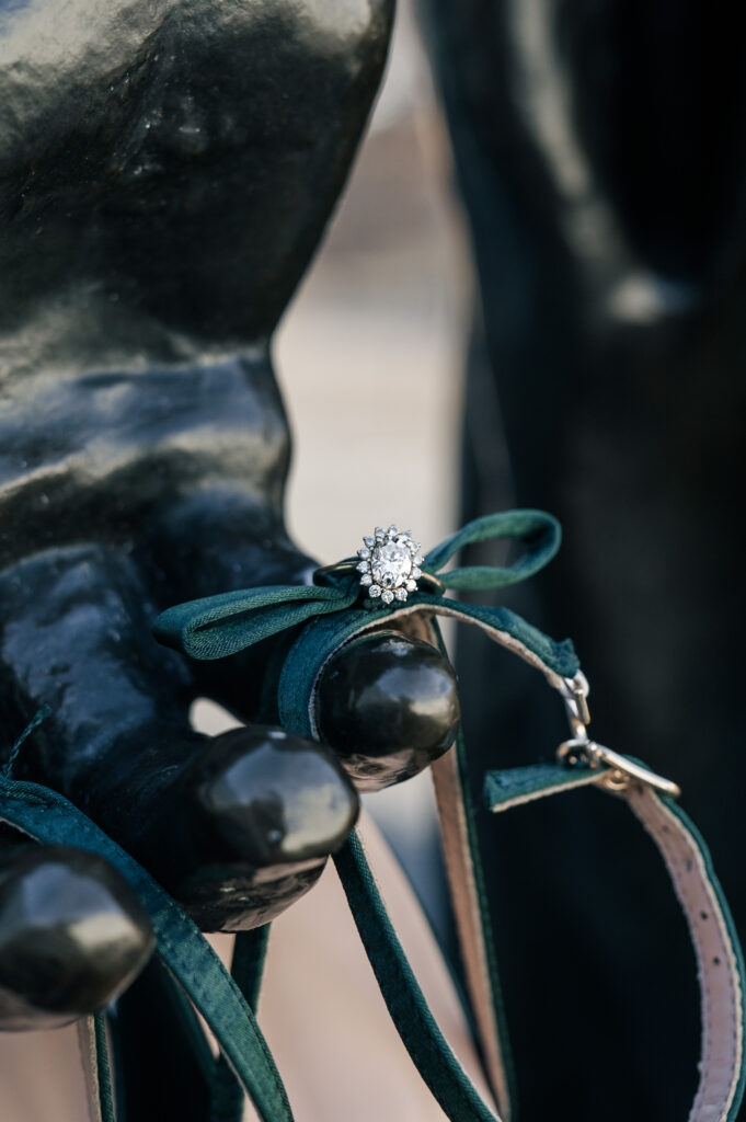 raleigh elopement details ring